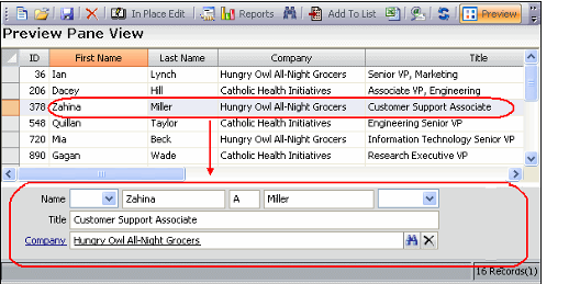 Preview Pane - Record Selected to Edit