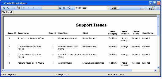 Support Issues Report