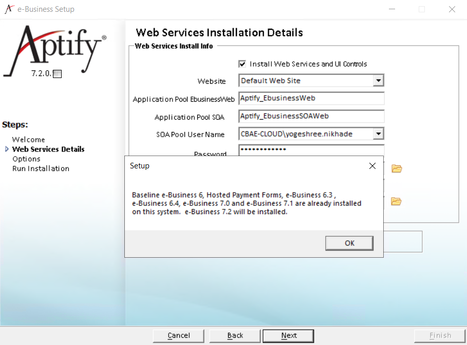 eBizInstall_option.png