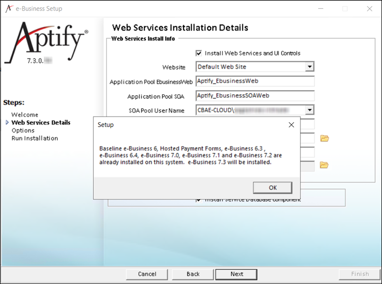 Ebiz_3InstallDetailsSetup.png
