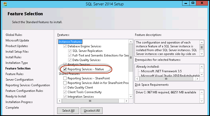 Report Services Feature Selected