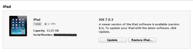 iTunes - iPad Information