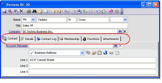 Form with Modified Tab Layout