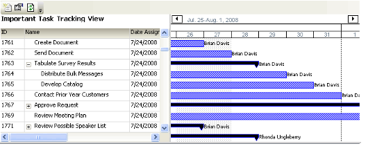 Sample Gantt View