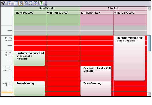Calendar View with Modified Display