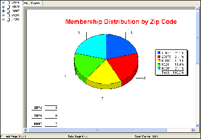 Persons by Zip Code Report