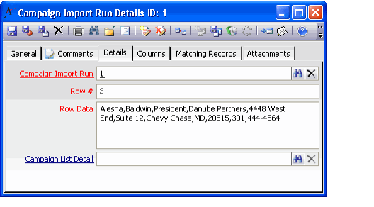 Campaign Import Run Details Form's Details Tab