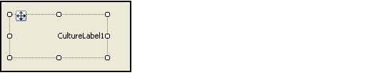 Culture Label in Design Mode